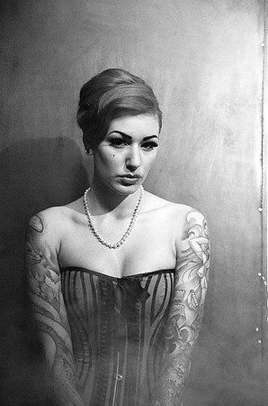 Cervena Fox